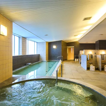 Maihama View Hotel by HULIC (formerly Tokyo Bay Maihama Hotel)