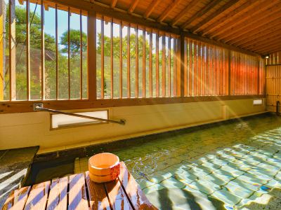 Ooedo Onsen Monogatari Hotel Shinko