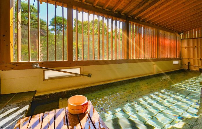 Ooedo Onsen Monogatari Hotel Shinko