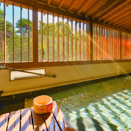 Ooedo Onsen Monogatari Hotel Shinko