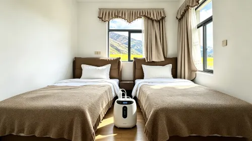 Gangri Yunju Homestay (Cuoyu Village) - Wifi