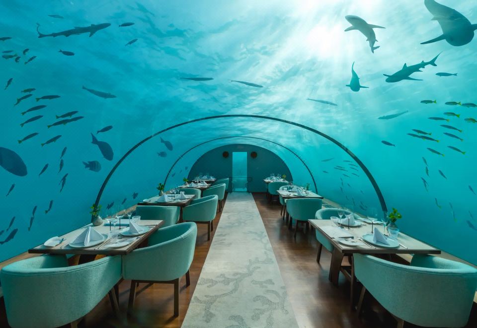 Фото: Conrad Maldives Rangali Island