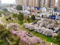 Xile'er Hotel Hotel in zona Shuangfu Station