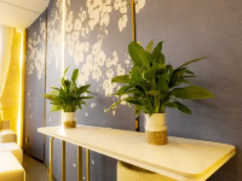 Qingmang Quality Hotel Hotels in Mangya