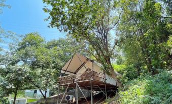Fogang Mixi Xili Camping