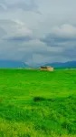 Qiongkushitai Rugu Homestay Hotels near Jonkushitai Village