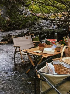 QingS・Backcountry Stream - tracing Holiday Homestay (Anji Zhebei Grand Canyon Branch）