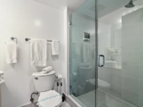 Hallandale Hideaway Hotels in Hallandale Beach