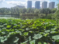 Lu Shyi (Greenland Central Square Store)