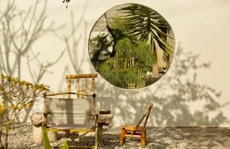 Lijiang Dexian Homestay Отели рядом с Аэропорт Лицзян