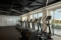 Sofitel Cairo Downtown Nile - Træningscentre