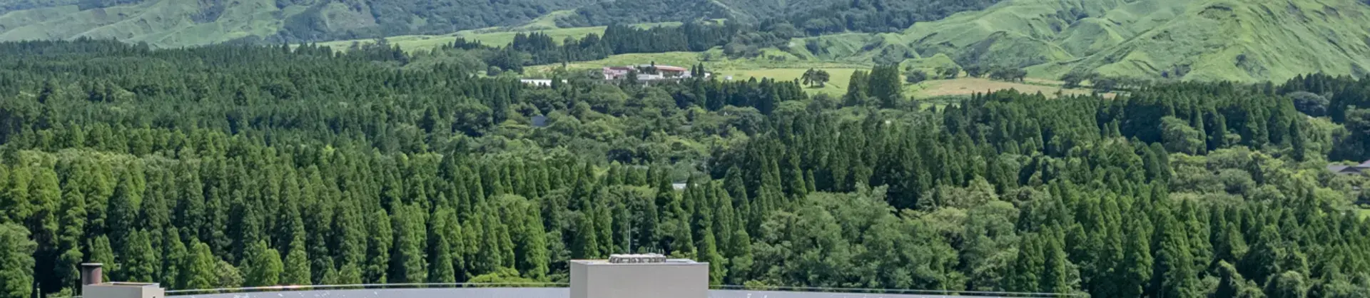 Scenic Hotels