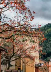 Tanchao Homestay (Longtan Ancient Town Store