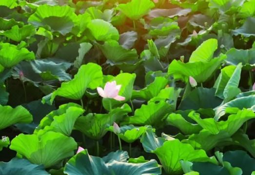 레이크뷰 쉬안우 호텔