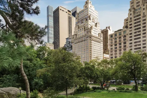 The Ritz-Carlton New York, Central Park