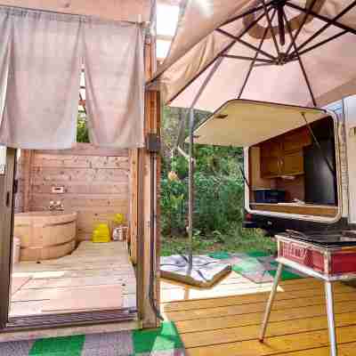 Cottage Harvest tree Rooms