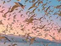 湖景·Lake view春江花月夜飯店（昆明滇池海埂大壩店） 海埂大壩附近的飯店