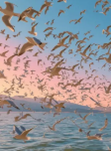 湖景·Lake view春江花月夜酒店（昆明滇池海埂大壩店）