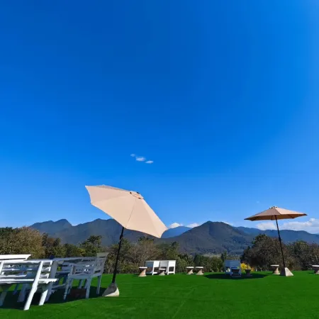 The Moon Rabbit Resort
