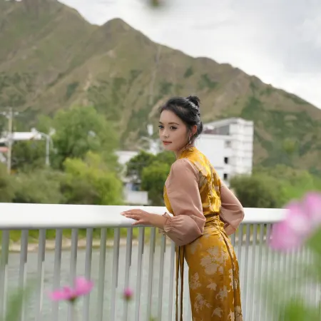 La Garry Snow Dragon Manor Resort(Potala Palace Branch)
