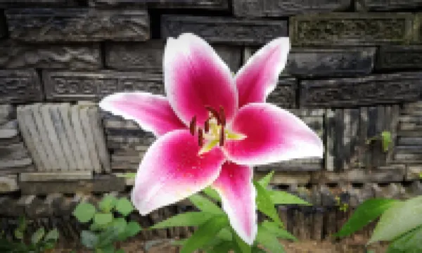 慈渓木南居民宿