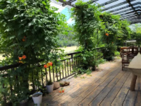 麗水鳥鳴澗民宿(古堰畫鄉)