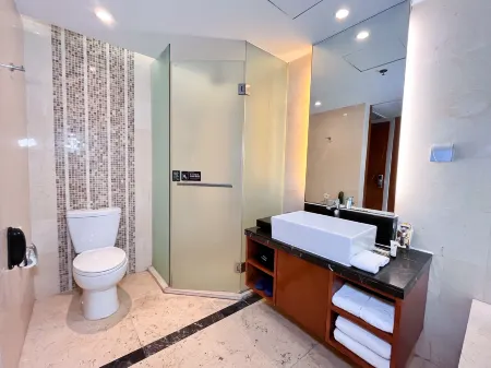 Longemont Rayfont Hotel Shenyang Отели в г. Шэньян