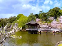 Henn na Hotel Premier Nara - Lãng mạn