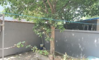 Nanjing Wutong Shuxia Homestay (Fuzimiao)