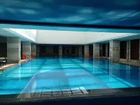 Saussurea Hotel - Pools