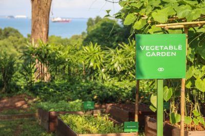 庭 ソフィテル シンガポール セントーサ リゾート&スパ(ステイケーション可)の写真