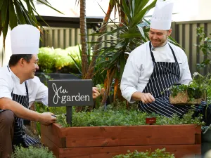 JW Marriott Gold Coast Resort & Spa