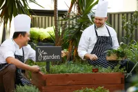 JW Marriott Gold Coast Resort & Spa - Parkering