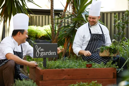 JW Marriott Gold Coast Resort & Spa