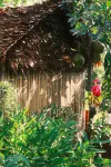Siem Reap Homesteading II