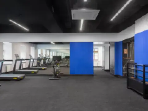 The Basilian Minsk, Curio Collection by Hilton