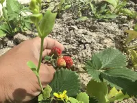 Kurdish Ning Dream Homestay Hotels near Kurding Tourism and Cultural Museum