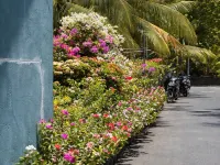 Ocean Dive Guesthouse โรงแรมใน