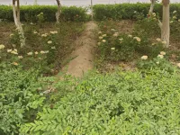 Jingpan Hostel Hotels in Turpan