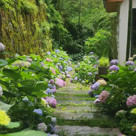 Ranran Landscape · Wild Luxury Landscape Famliy Parent Child Vacation Homestay (Moon Bay Store)