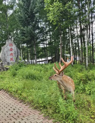 Fenglin County Xing'an Luyuan