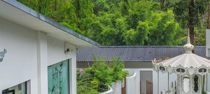 Wuyi Mountain Yiqu Xiangsi Alhu Resort Hotel Hotels in Wuyishan