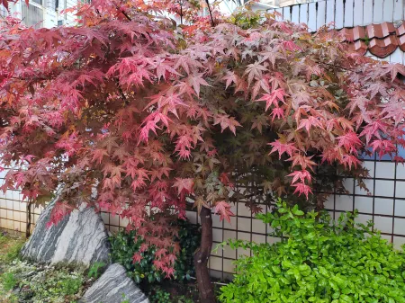 Jinqiu Courtyard Hotel Отели рядом с достопримечательностью «Tiancheng Qixia Scenic Spot»