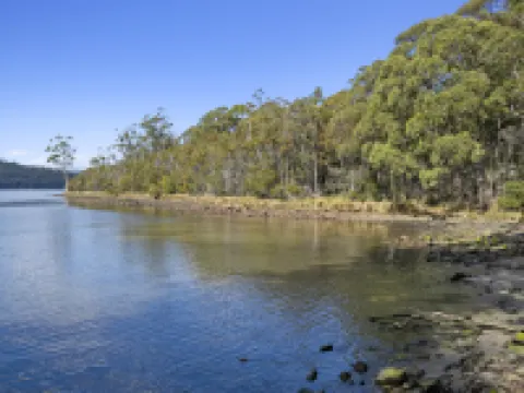 The Fox and Hounds Historic Hotel Hotels in Port Arthur