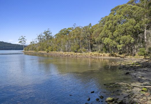 폭스 & 하운드 인의 역사적인 외관