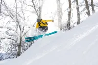 Hotel Green Plaza Hakuba Hotel a Otari