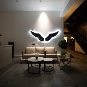 Turks Flip Pigeon Homestay