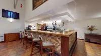 Azz Peñafiel Las Claras Hotel & Spa - bar