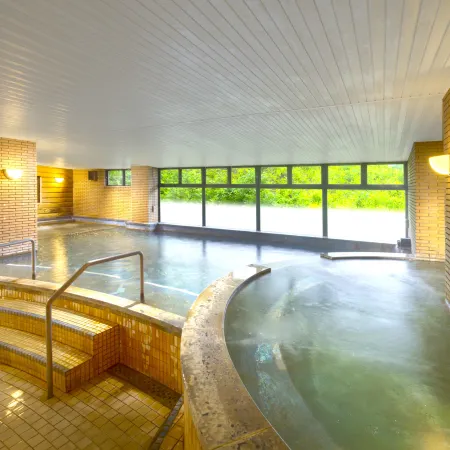 Hotel Green Plaza Hakuba