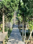 Oak Village by D Home Da Lat